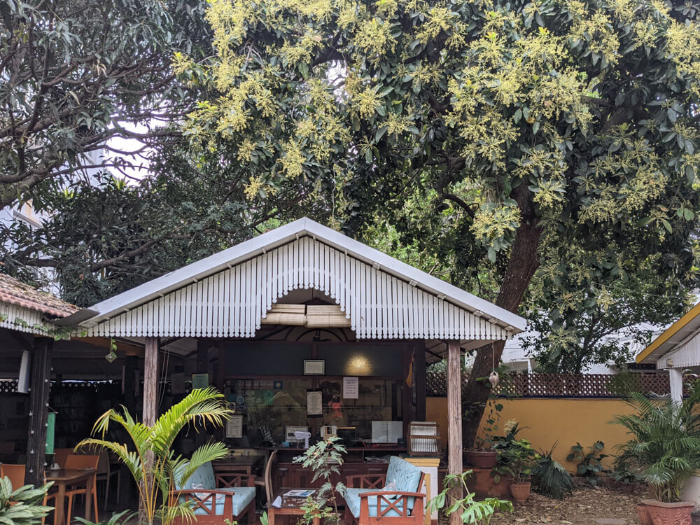 casa cottage garden a green accommodation homestay in bangalore
