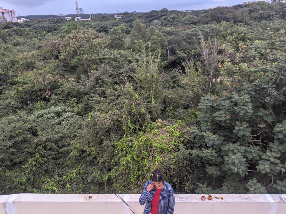 On My Canvas Turns Four – Big News and Five Lessons Inside 3 celebrating diwali on our terrace (1)