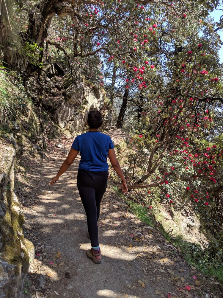 Shoe Shopping in Karsog Mandi – Things Nomadic Writers Have To Do 2 In my Merrell shoe. On a hike in Himachal in 2019.