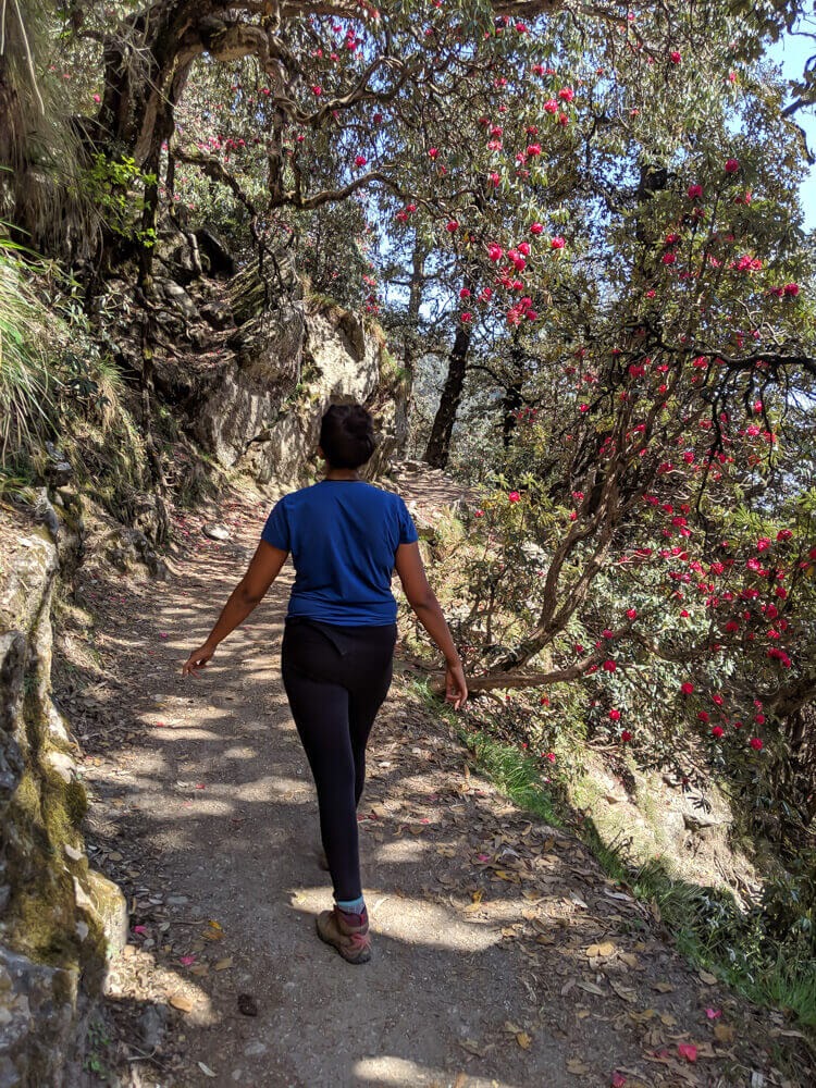 In my Merrell shoe. On a hike in Himachal in 2019.