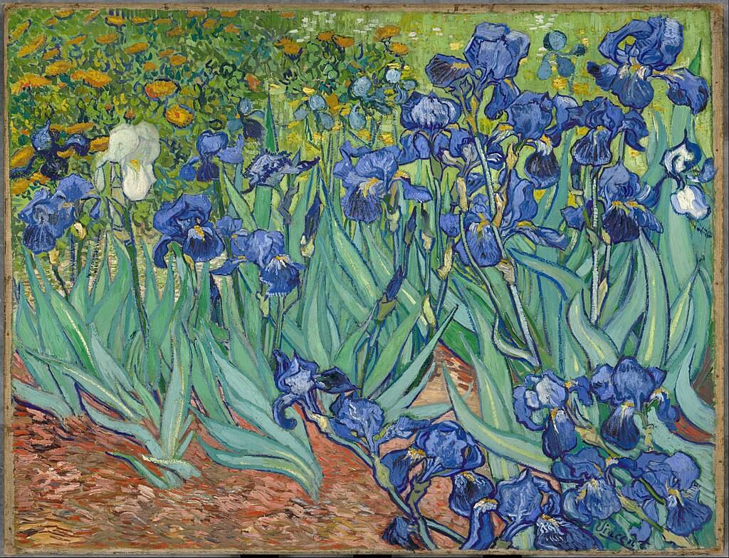 Irises-Vincent_van_Gogh first love happiness (1)