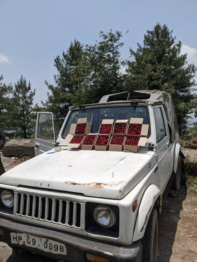 cherries of himachal and a truck selling