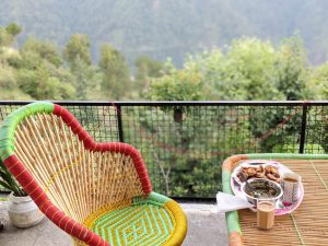 Favorite Himachal Pradesh Moments in 71 Photos 45 pakora chai chutney views in state of himachal
