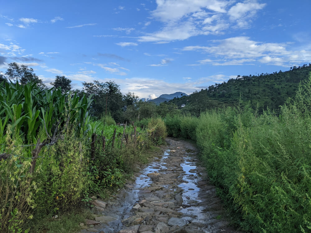 the reflections of the blue sky in karsog valley water collected in rains