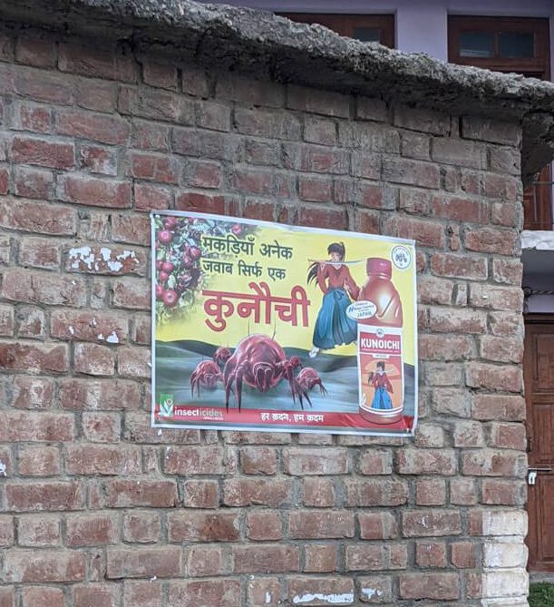 Favorite Himachal Pradesh Moments in 71 Photos 17 the solution to spiders in apple orchards