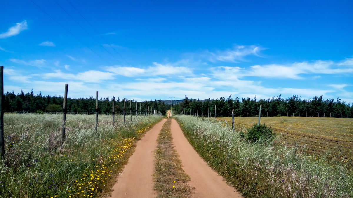 cauquenes beautiful countryside chile