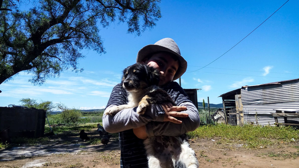 Cultural Differences, a Friend For Life, and Diwali in Chile 7 the little kid in chile with a puppy in countryside cauquenes