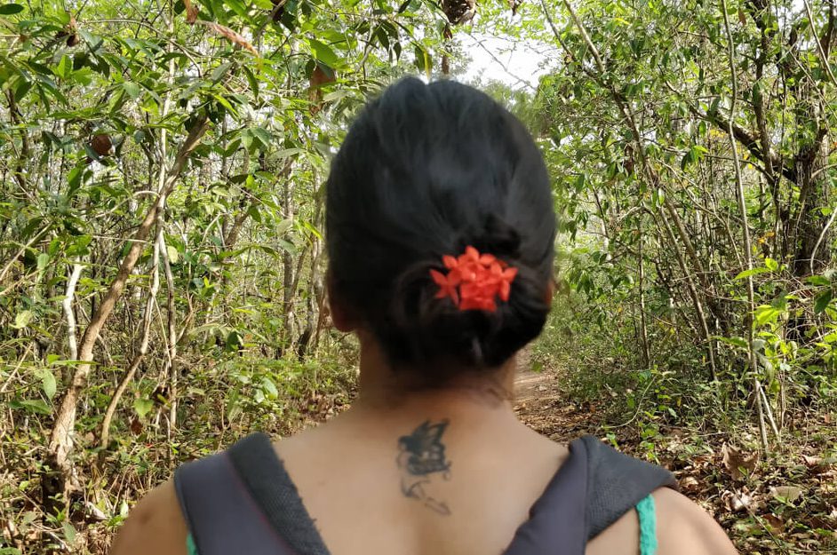 Writer's Notes From Agonda Beach, Goa 5 walking in the jungles of goa