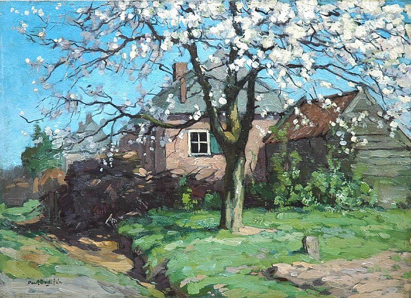 Bodifee Bloeiende kersenboom blooming tree 1