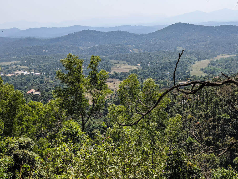 coorg hills 1