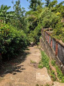 paths in front of stuart hill homestay