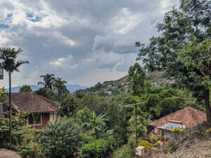 stuart hill madikeri homestay from above