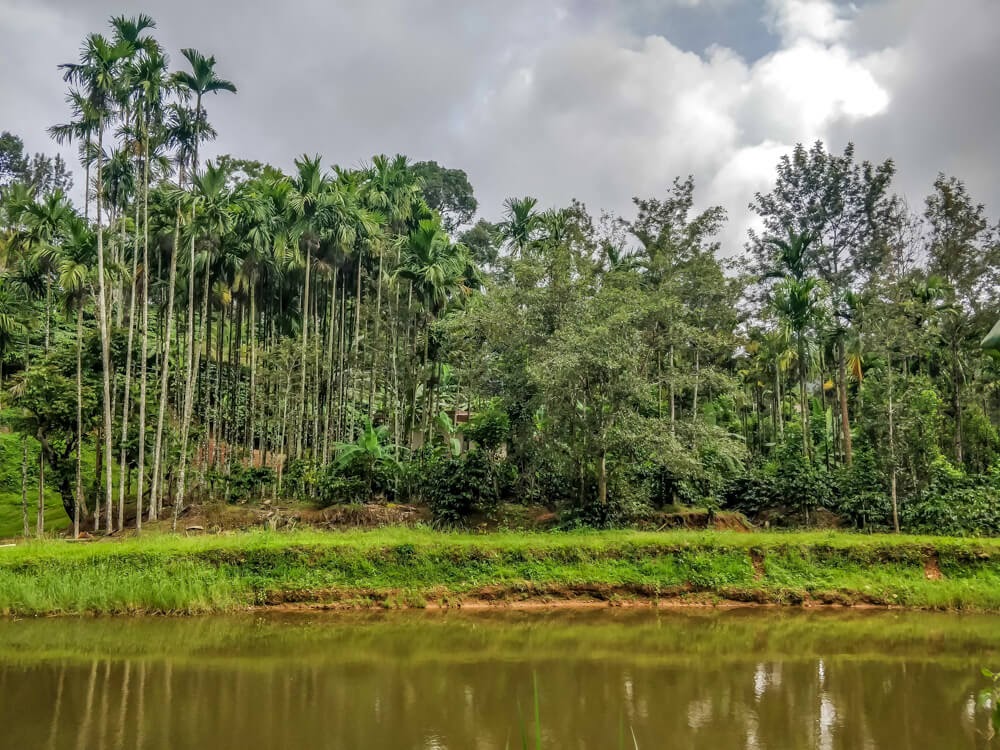 coffee+estate+madikeri+kodagu+karnataka+state