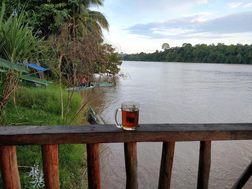 evenings on Kinabatangan river borneo