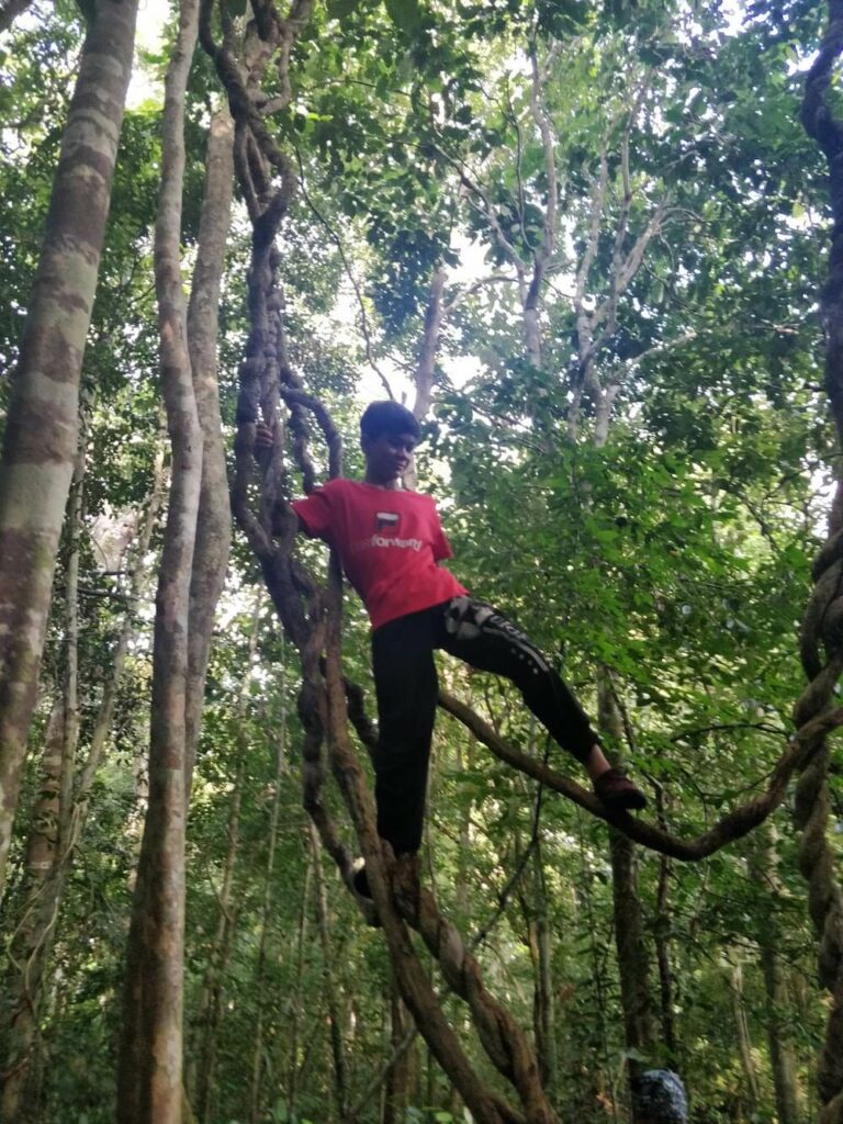 hiking in kinabatangan wildlife sanctuary