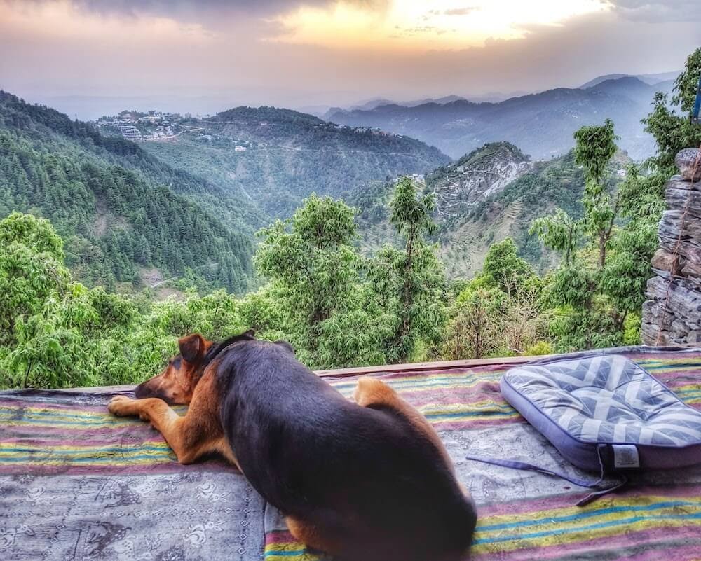 Yoga in Dharamshala – With an Introduction to Yoga in India 10 mcleodganj+himachal+pradesh+waterfall+hike+dharamshala