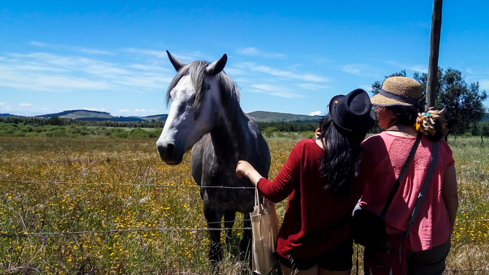 Learning Spanish in Chile–A Mind-Numbing Experience 3 with chilean friends in cauquenes learning spanish in south america