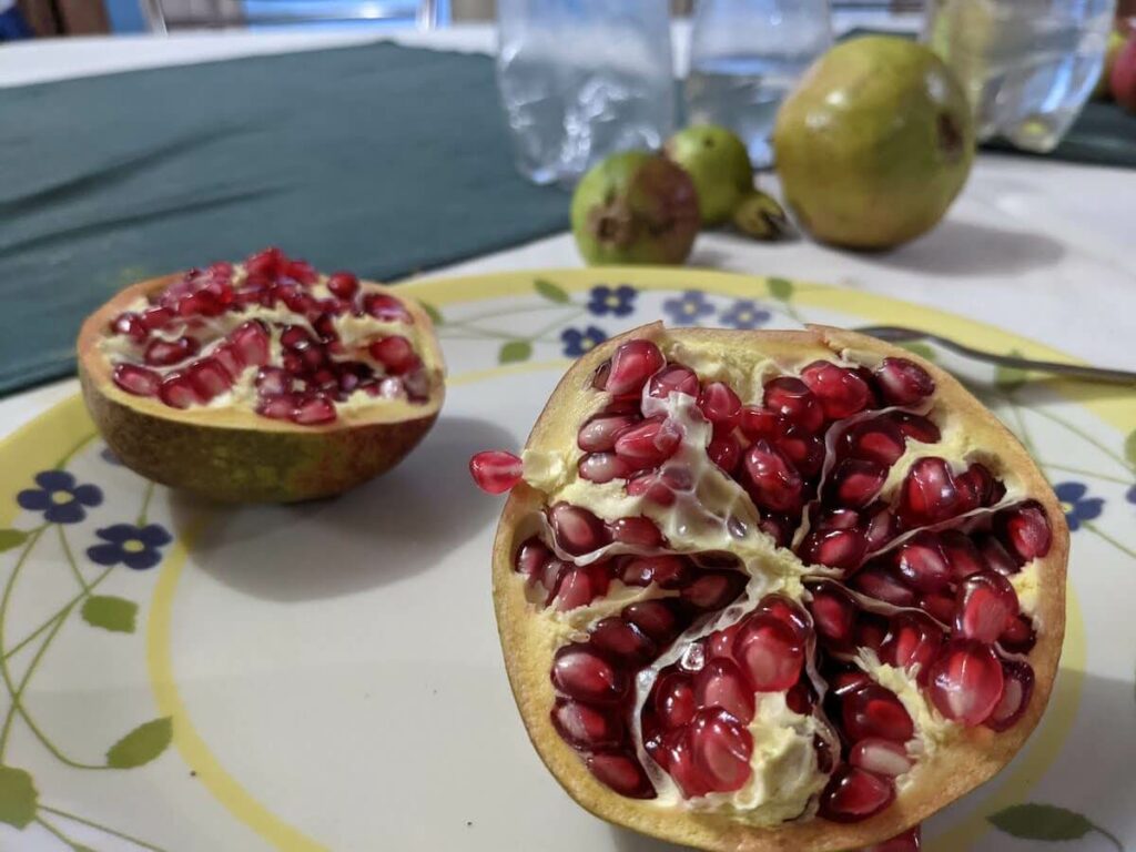 5 Years of On My Canvas: What I've Learned 3 around the same time last year eating right from the orchard