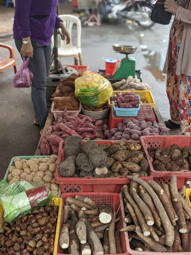 Fish Soup, Crazy Streets, and Night Markets in Saigon 25 all-about-roots-Vietnam.jpg