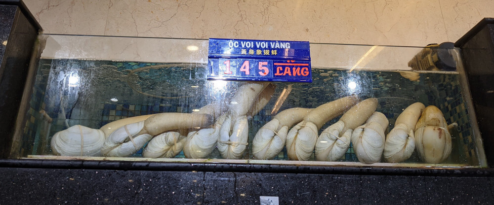Fish Soup, Crazy Streets, and Night Markets in Saigon 31 do-you-know-what-is-this-animal-that-is-being-sold-here-ho-chi-minh-saigon-vietnam.jpg
