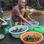 he-was-cleaning-snails-and-crabs-in-saigon-street-market.jpg