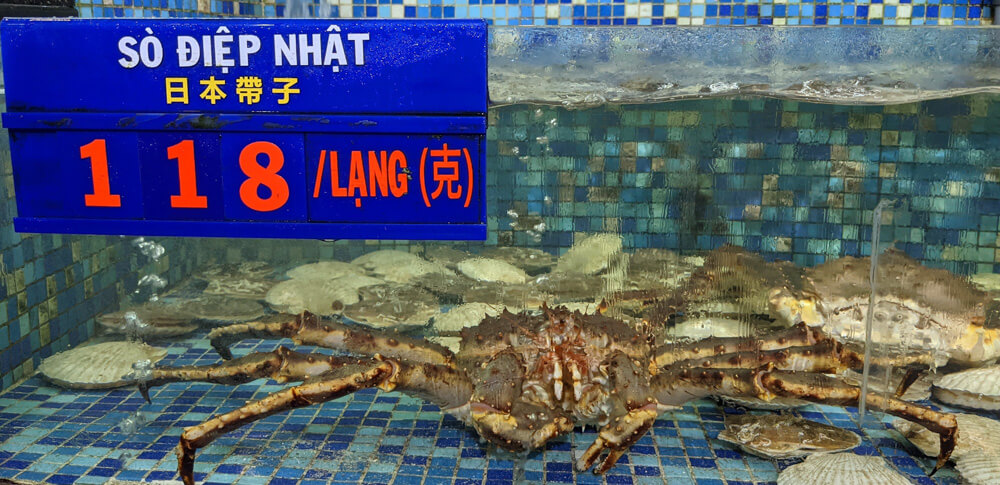 Fish Soup, Crazy Streets, and Night Markets in Saigon 30 look-at-this-giant-crab.jpg