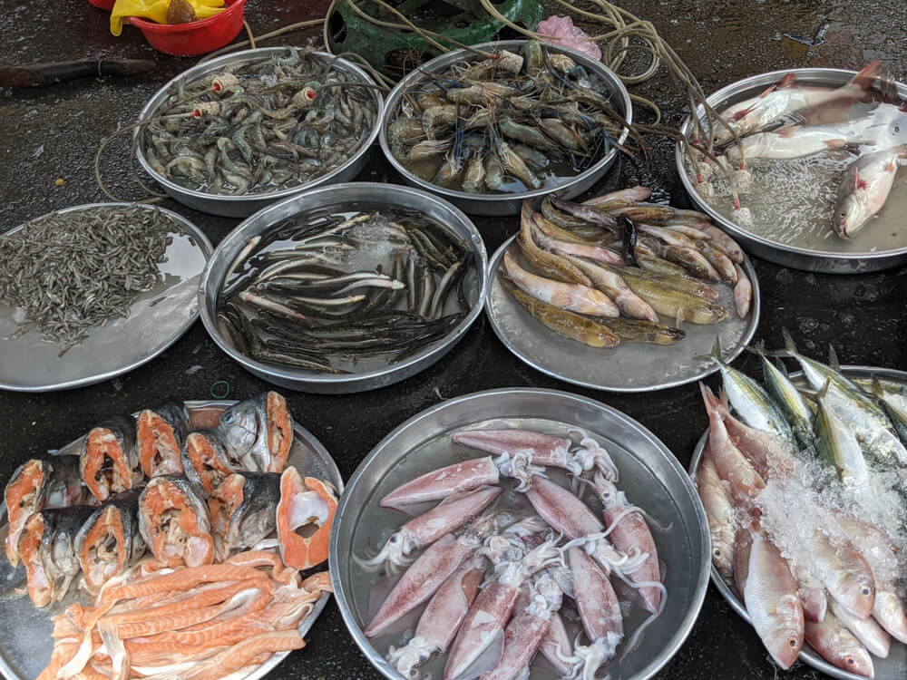 Fish Soup, Crazy Streets, and Night Markets in Saigon 22 still breathing with the tubes, seafood, vietnam saigon
