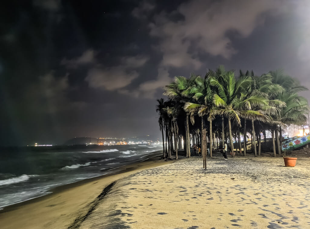 coconut-trees-on-vishakhapatnam-beach-in-sand-almost-black.jpg