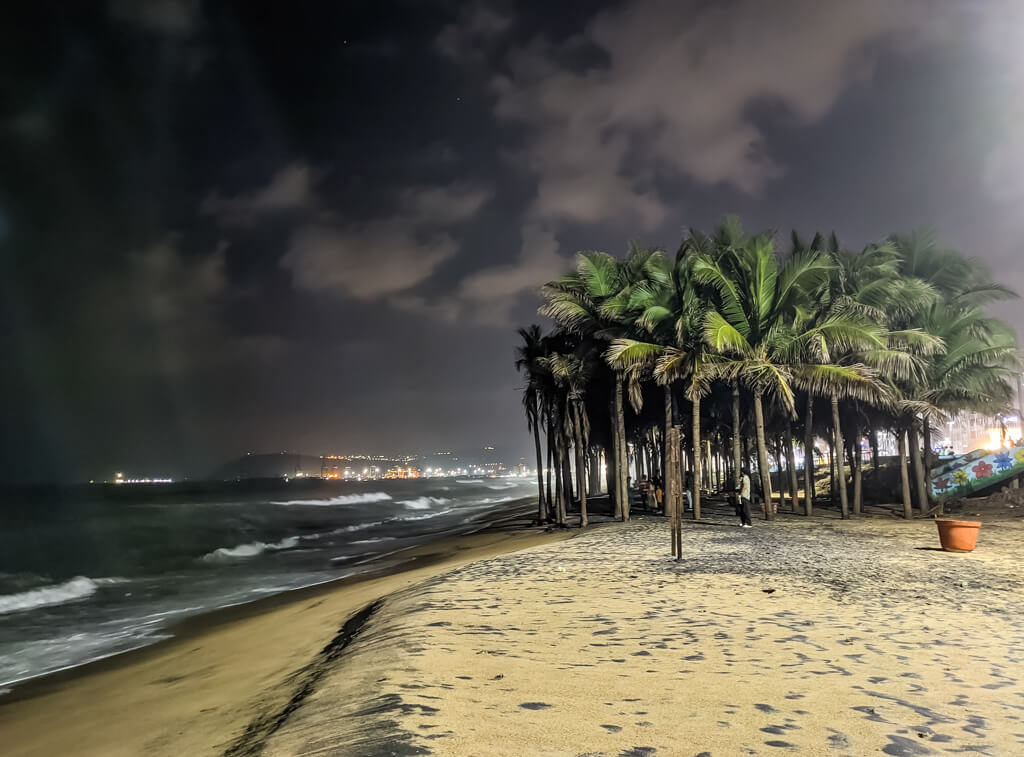 27 Hopeful Photos From 2022 That Show Nature Defy Climate Change 22 coconut-trees-on-vishakhapatnam-beach-in-sand-almost-black.jpg