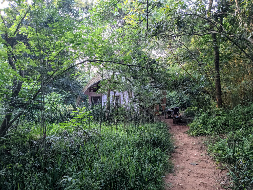 27 Hopeful Photos From 2022 That Show Nature Defy Climate Change 21 cottage-and-homes-can-be-built-inside-nature-not-by-clearing-it-all-up.jpg