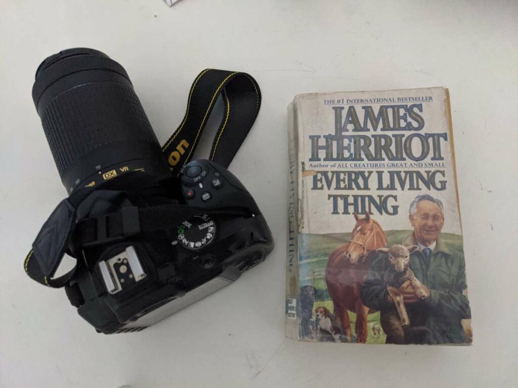 james herriot every living thing