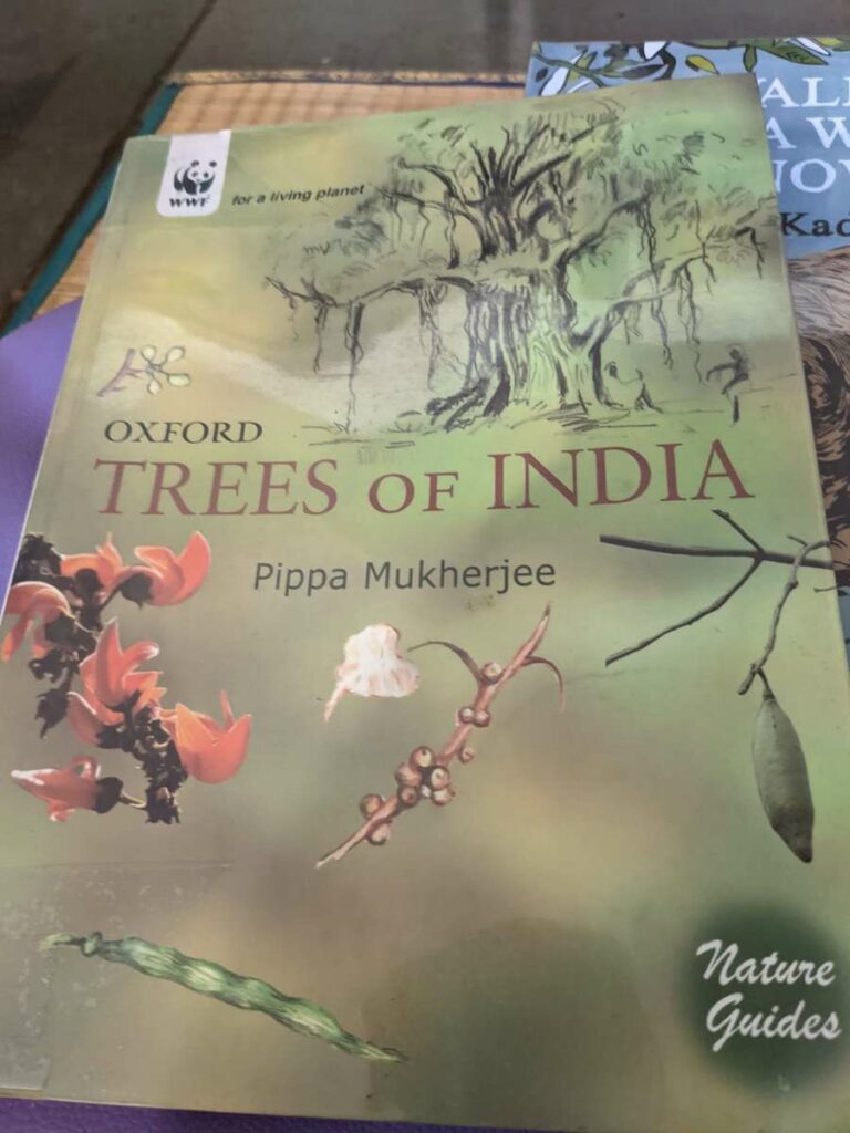 trees of india pippa mukherjee