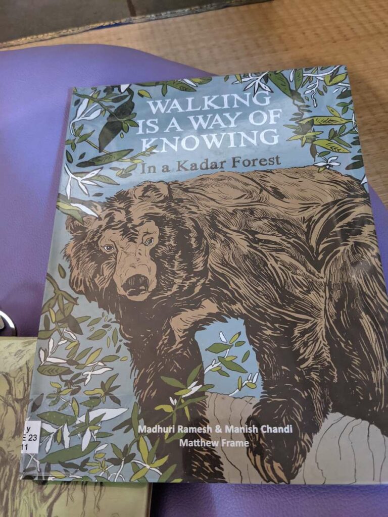 Favorite Books of 2022 22 walking is a way of knowing in a kadar forest