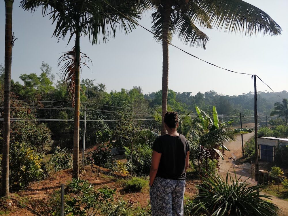 admiring the surroundings of the home stay