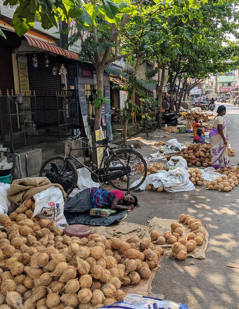 coconut street puducherry
