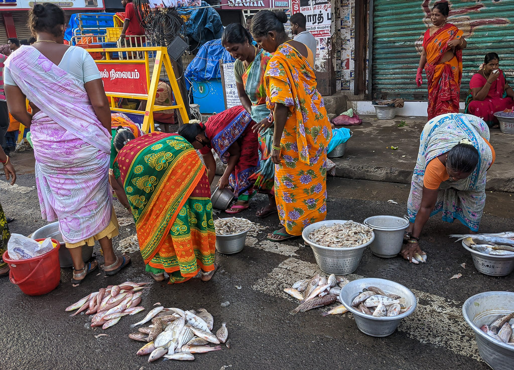 fisher woman sorting out their fish, one early morning in Pondicherry