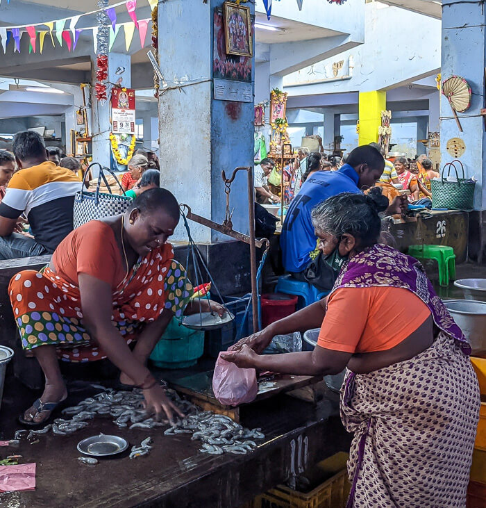 fish market goubert puducherry tamil nadu