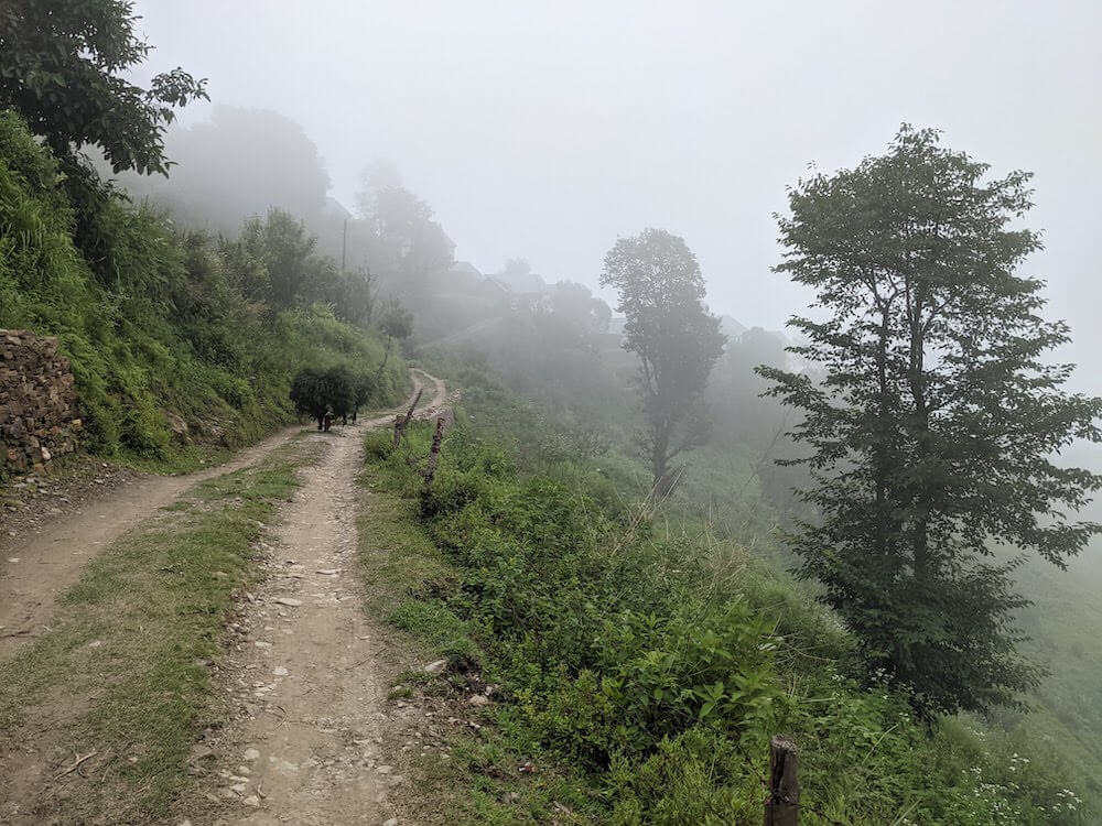 misty village paths