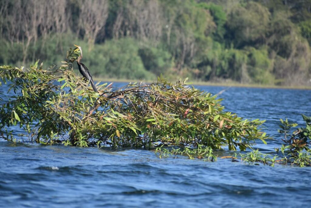 on ousteri or ossudu lake that has my heart 