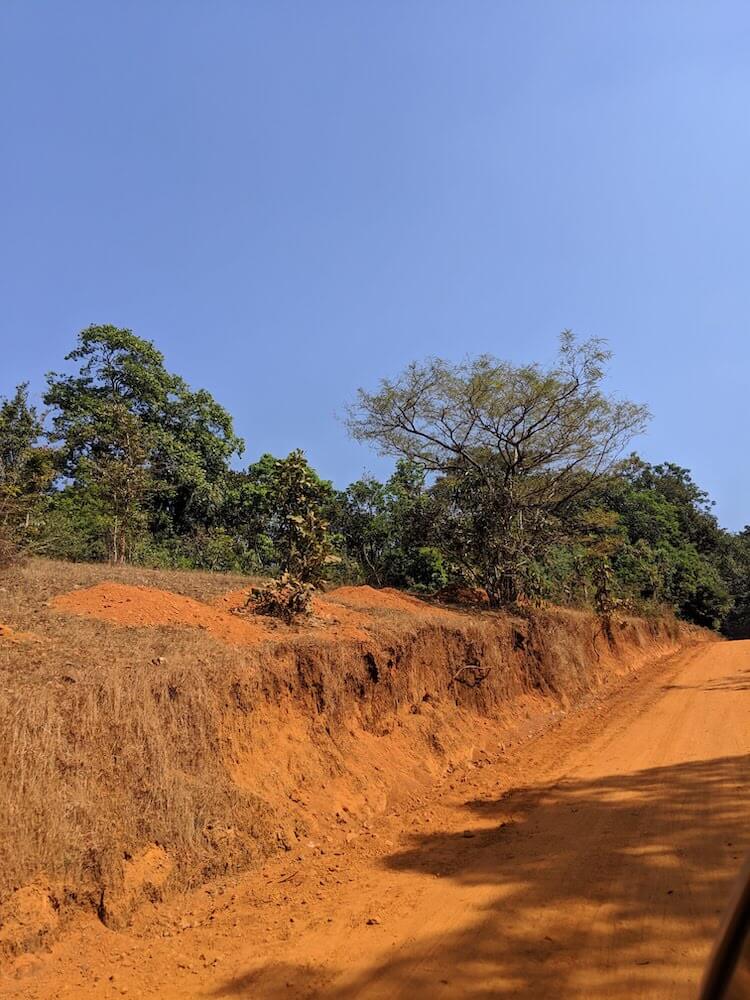 this was the road to sharavathi sanctuary