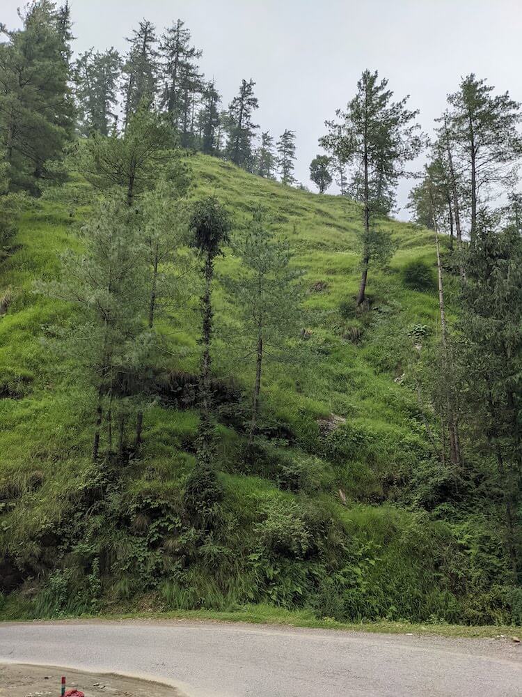 A Joyful Meander Over a Must-Do Himalayan Hike: Finding Our Own Pleasures 6 who doesn't want to walk on these roads himalayan highways