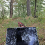 a photo of me working in pine forests in chindi village in himachal pradesh himalayas