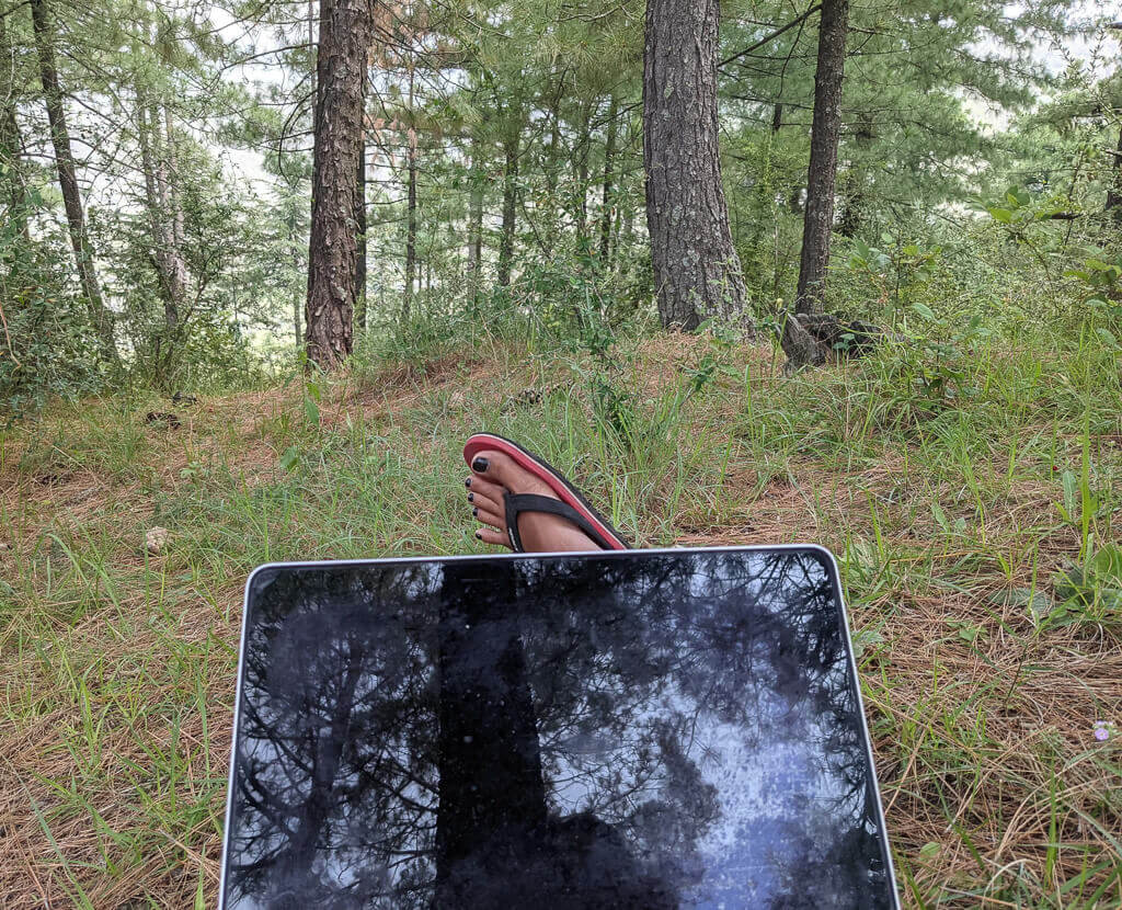 a photo of me working in pine forests in chindi village in himachal pradesh himalayas