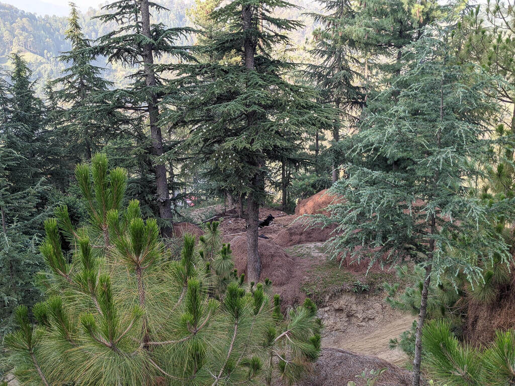 Two Himalayan Girls Reminded Me of My Hard-Earned Freedom 2 homes of chindi village beyond