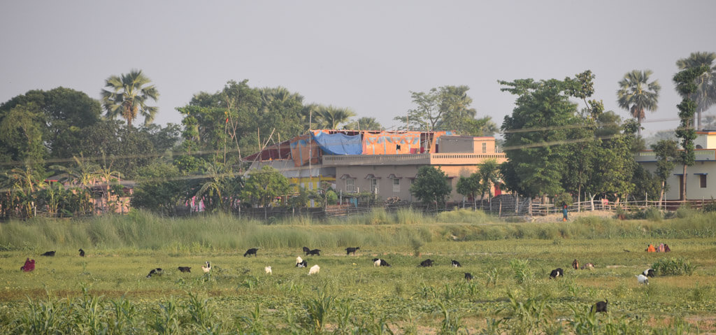 india farmland rural life