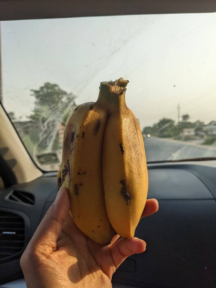 Bihar bananas