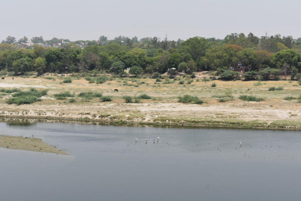 another one with the yamuna and the greenery