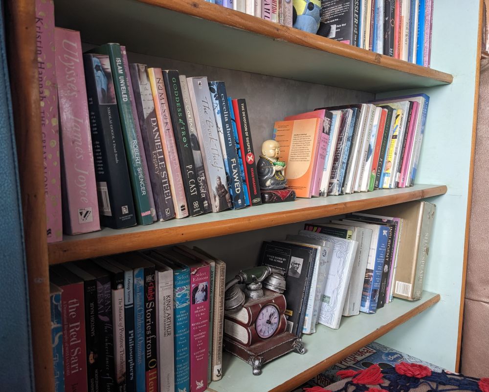 book shelf in a cafe in gangtok sikkim books on traveling