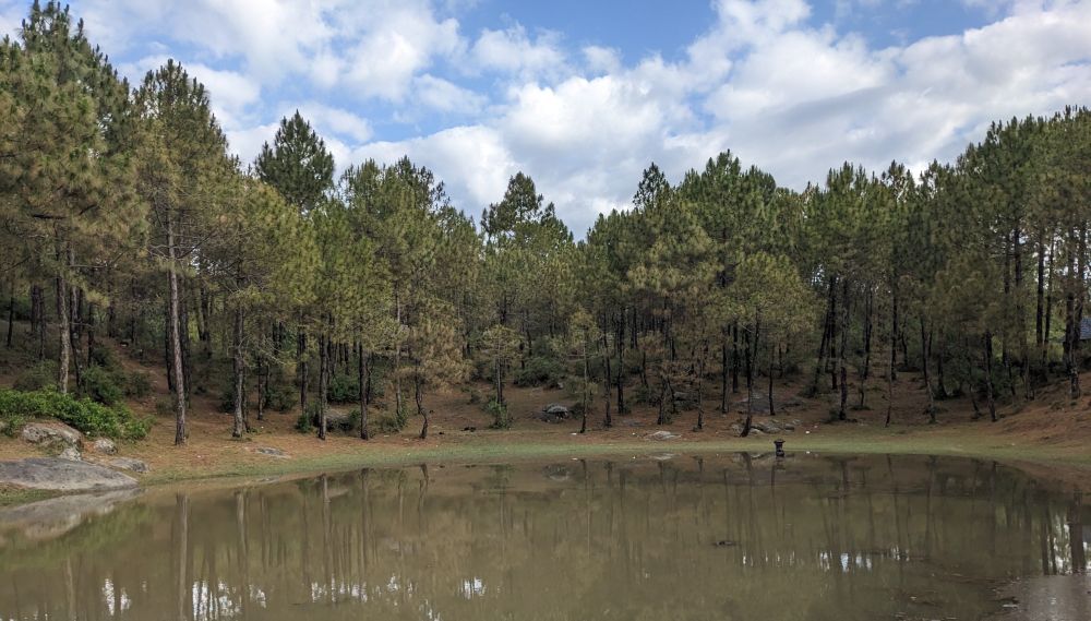 sar ki dhar lake green mountains himachal india reflective photo pine trees