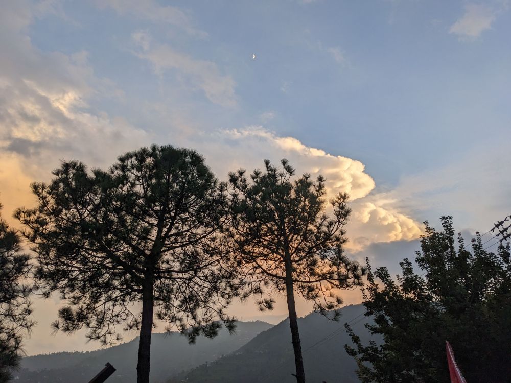 what can i say about this photo moon deodar and clouds in himachal
